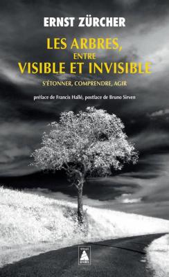 les-arbres-entre-visible-et-invisible-s-etonner-comprendre-agir