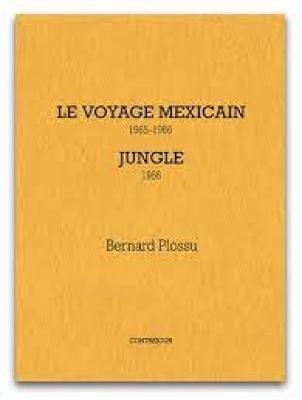 le-voyage-mexicain-jungle